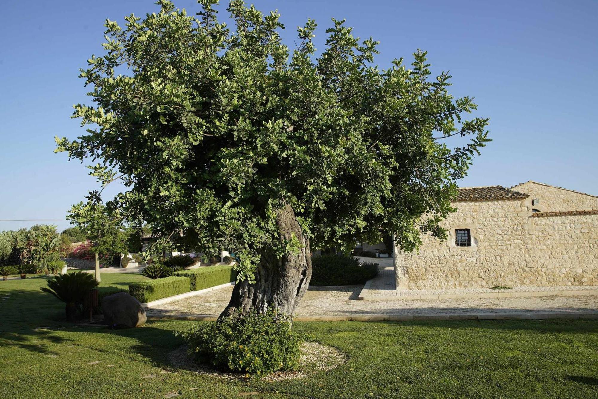 Torre Dantona Country Suites Pozzallo Exteriér fotografie